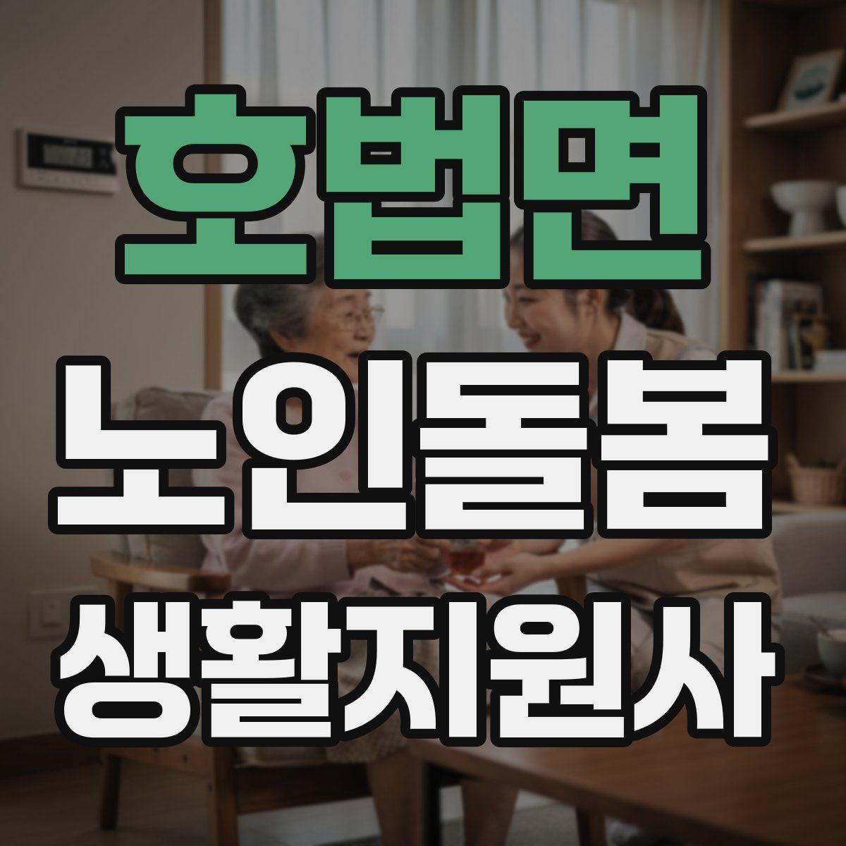 호법면 노인돌봄생활지원사 자격증