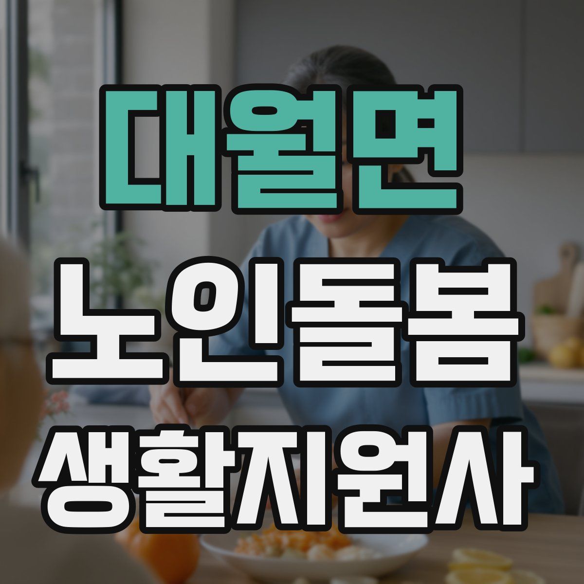 대월면 노인돌봄생활지원사 자격증