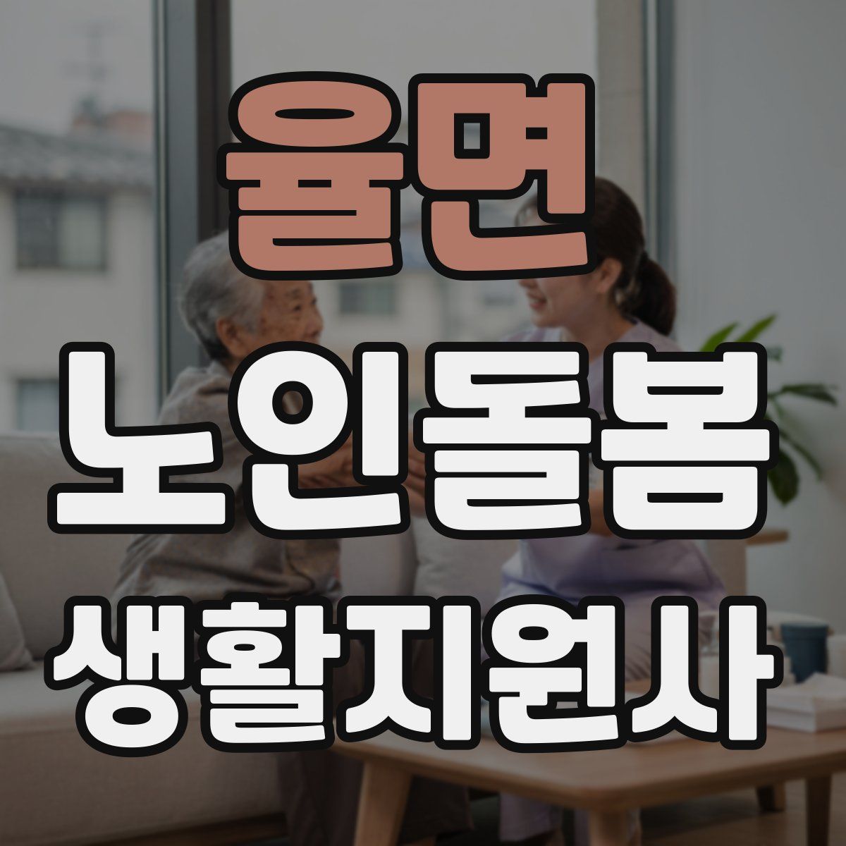 율면 노인돌봄생활지원사 자격증