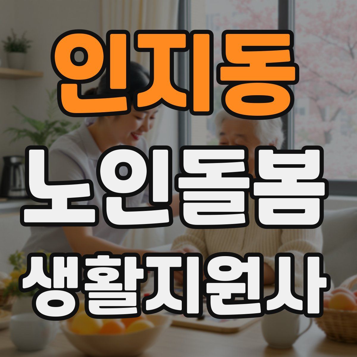 인지동 노인돌봄생활지원사 자격증