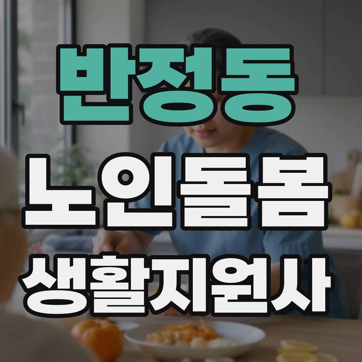 반정동 노인돌봄생활지원사 자격증