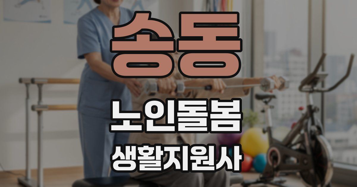 송동 노인돌봄생활지원사 자격증