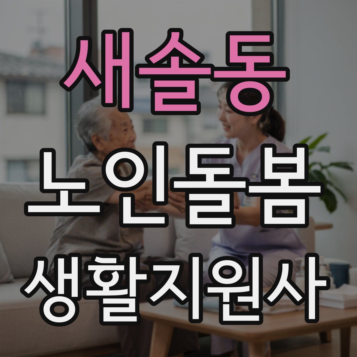 새솔동 노인돌봄생활지원사 자격증