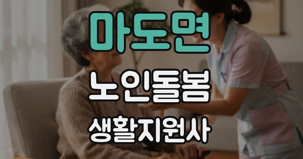 마도면 노인돌봄생활지원사 자격증