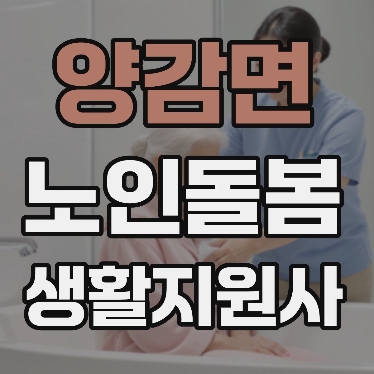 양감면 노인돌봄생활지원사 자격증