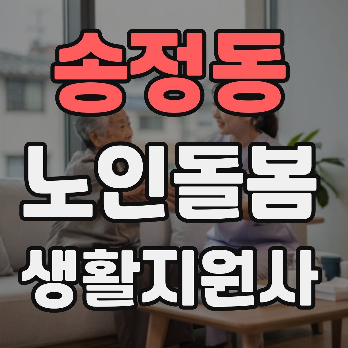 송정동 노인돌봄생활지원사 자격증