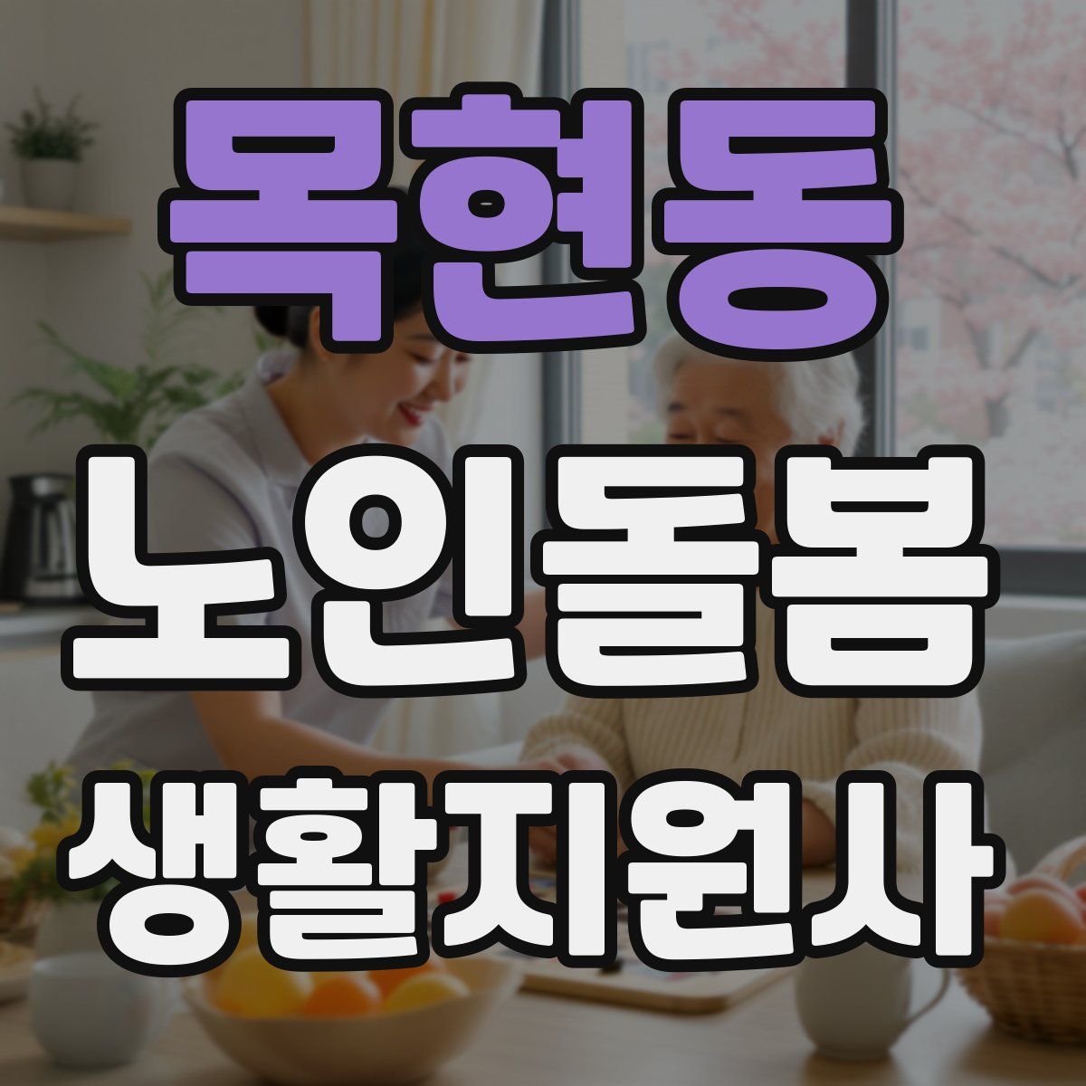 목현동 노인돌봄생활지원사 자격증