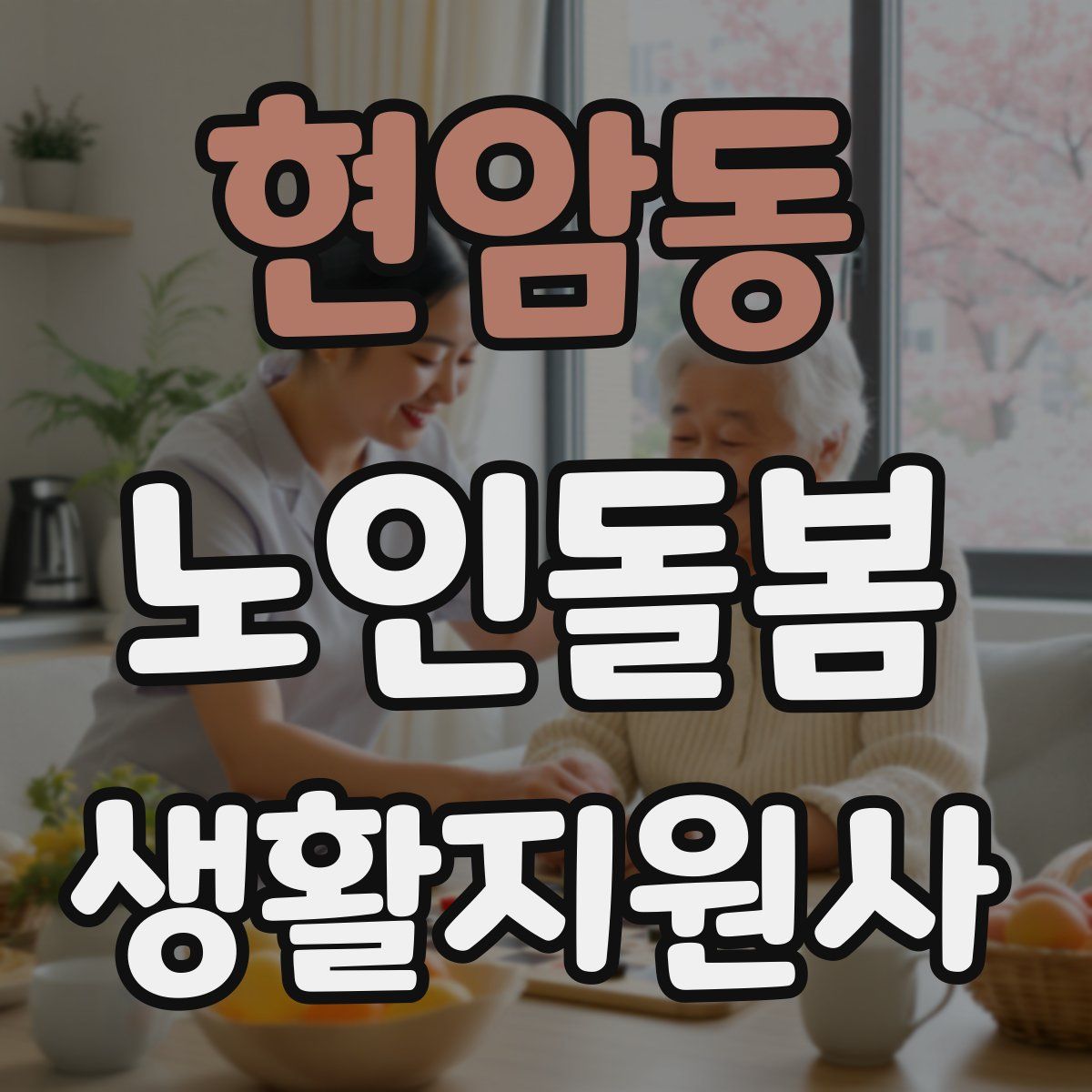 현암동 노인돌봄생활지원사 자격증