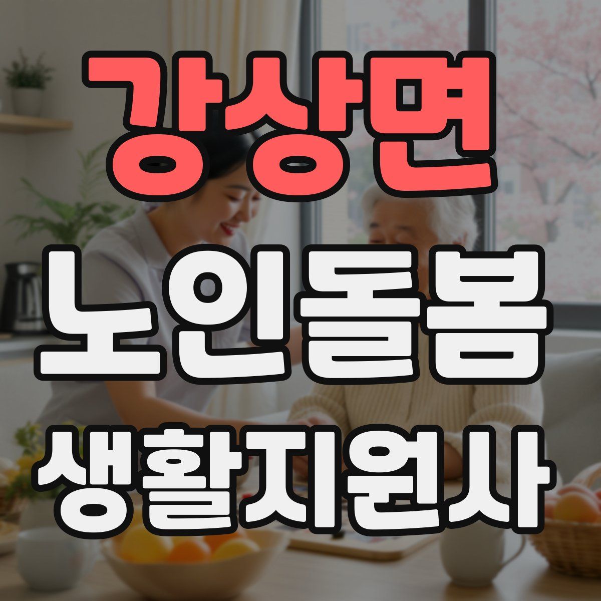 강상면 노인돌봄생활지원사 자격증