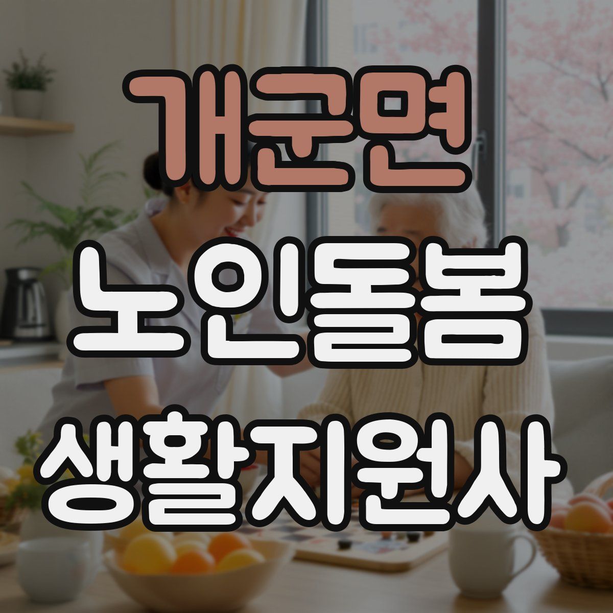 개군면 노인돌봄생활지원사 자격증