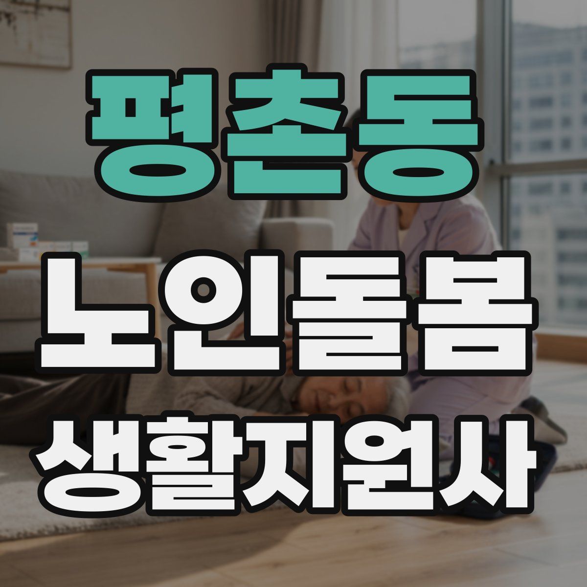 평촌동 노인돌봄생활지원사 자격증