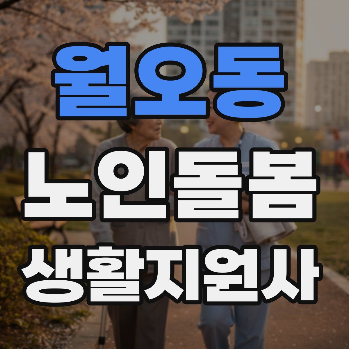월오동 노인돌봄생활지원사 자격증