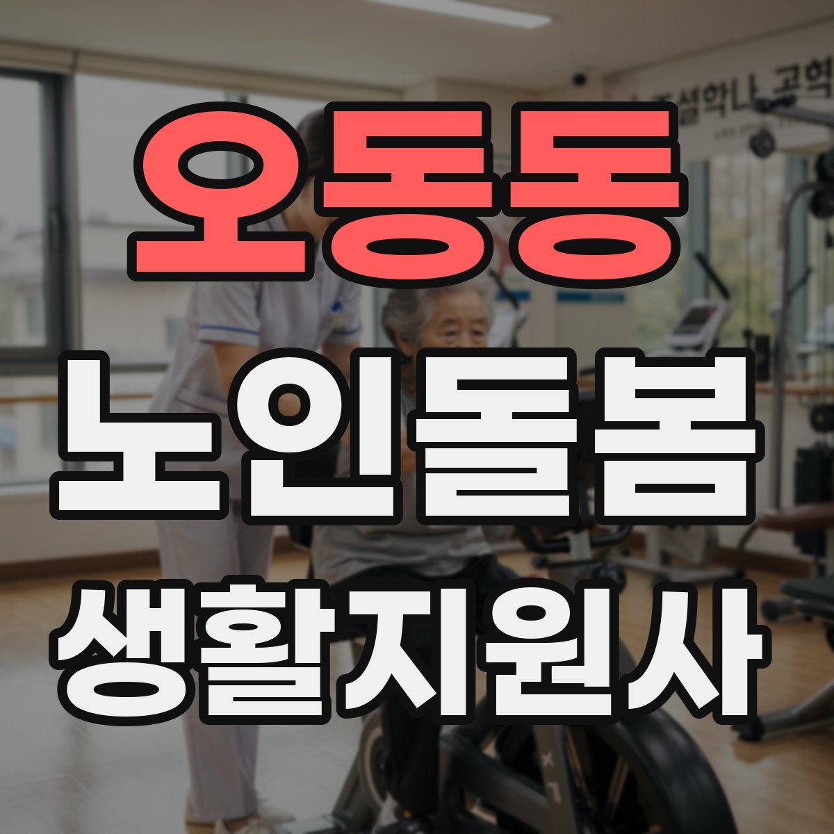 오동동 노인돌봄생활지원사 자격증