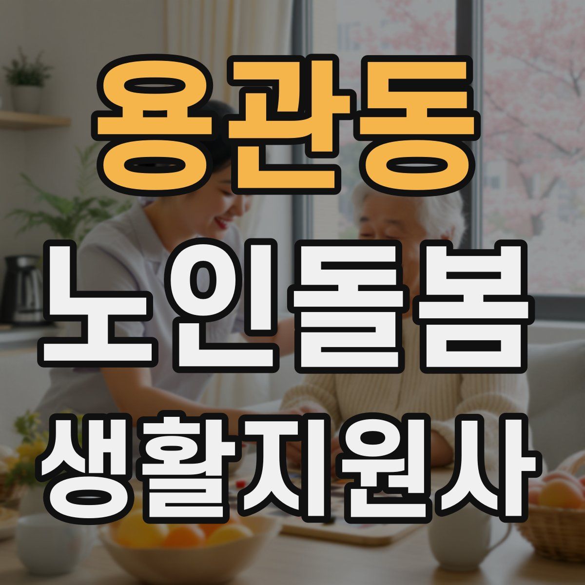 용관동 노인돌봄생활지원사 자격증