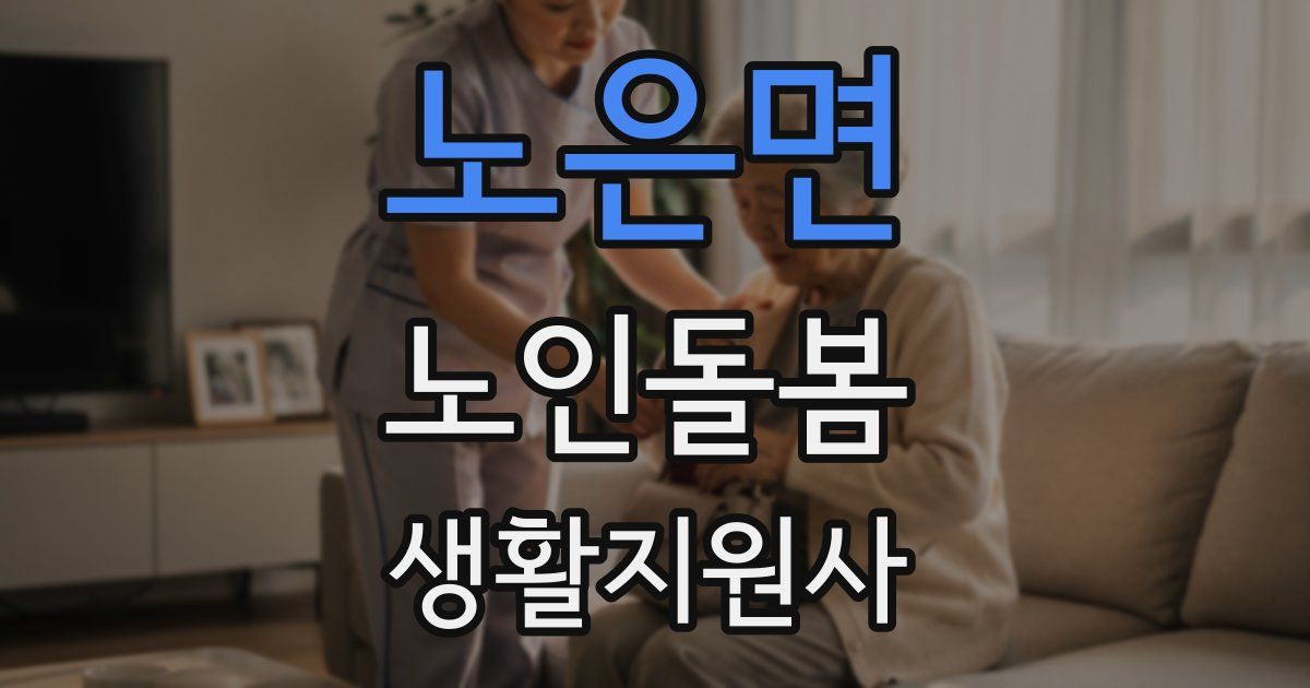 노은면 노인돌봄생활지원사 자격증