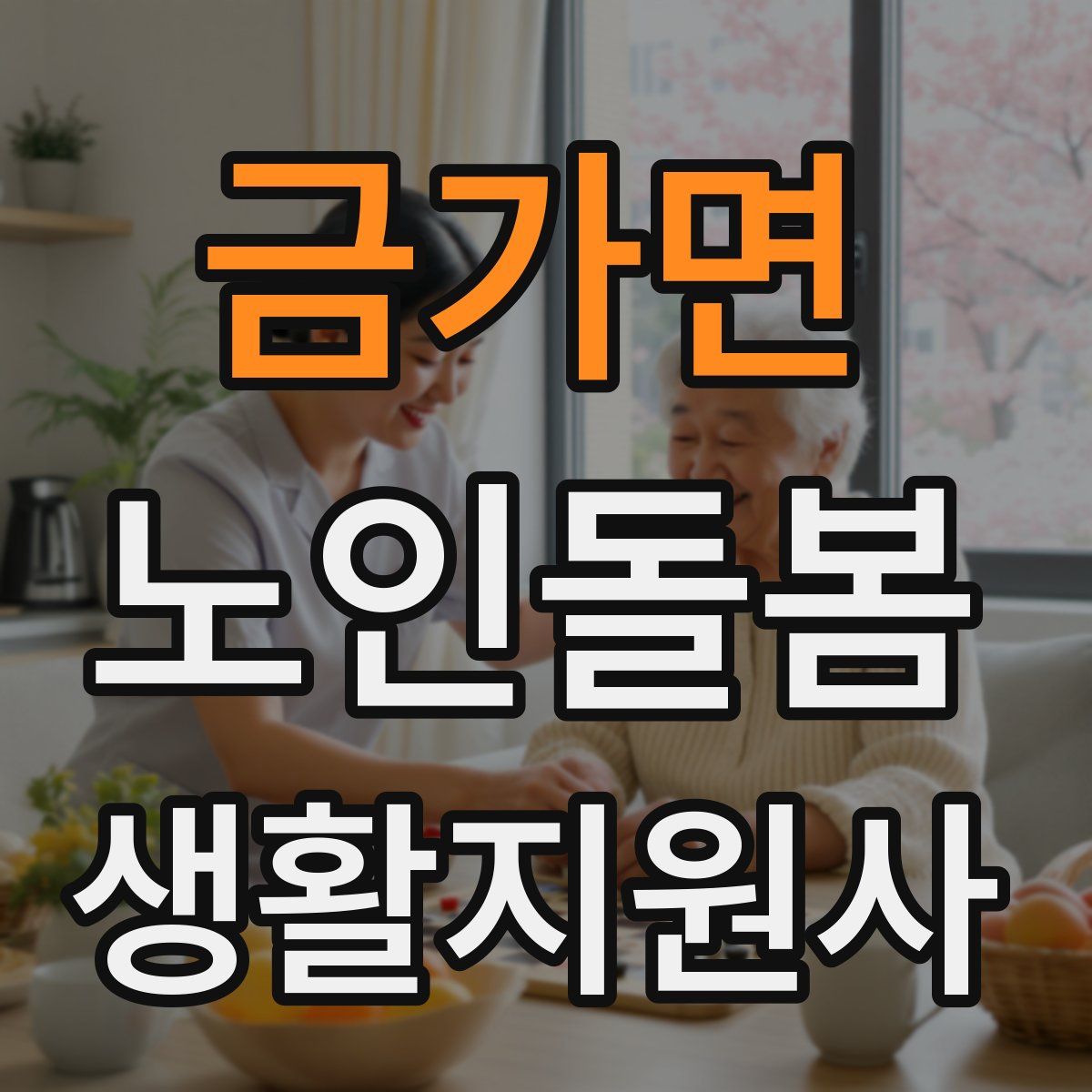 금가면 노인돌봄생활지원사 자격증