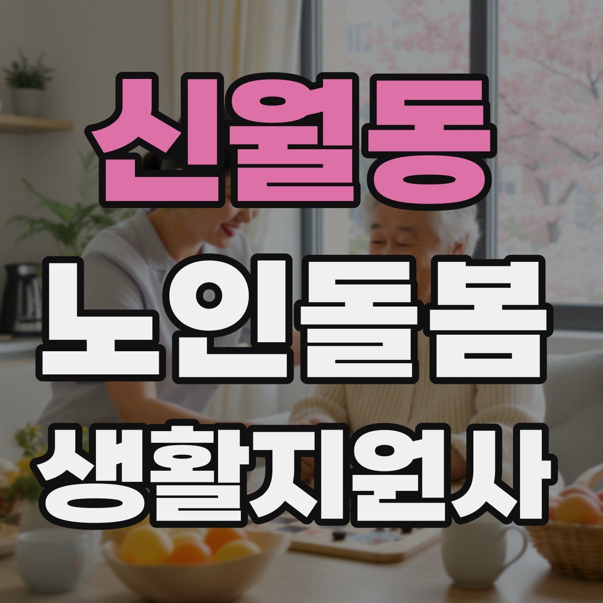 신월동 노인돌봄생활지원사 자격증