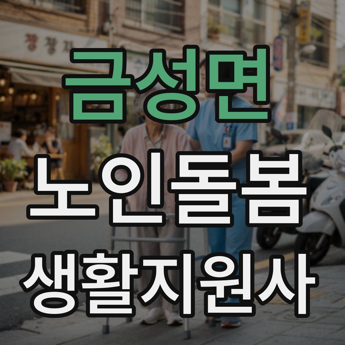 금성면 노인돌봄생활지원사 자격증