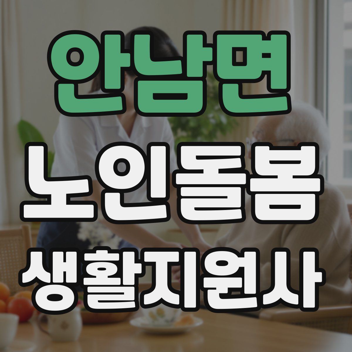 안남면 노인돌봄생활지원사 자격증