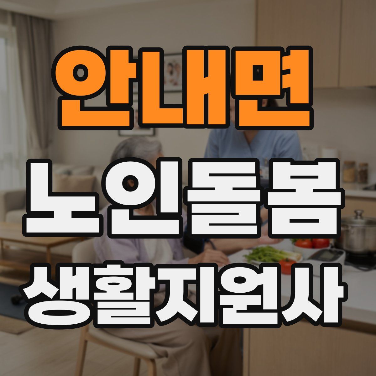 안내면 노인돌봄생활지원사 자격증