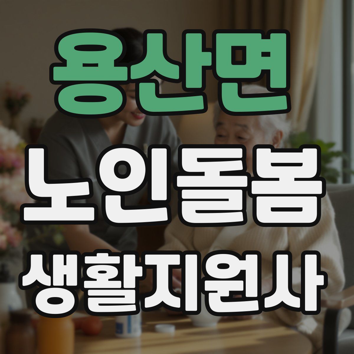 용산면 노인돌봄생활지원사 자격증