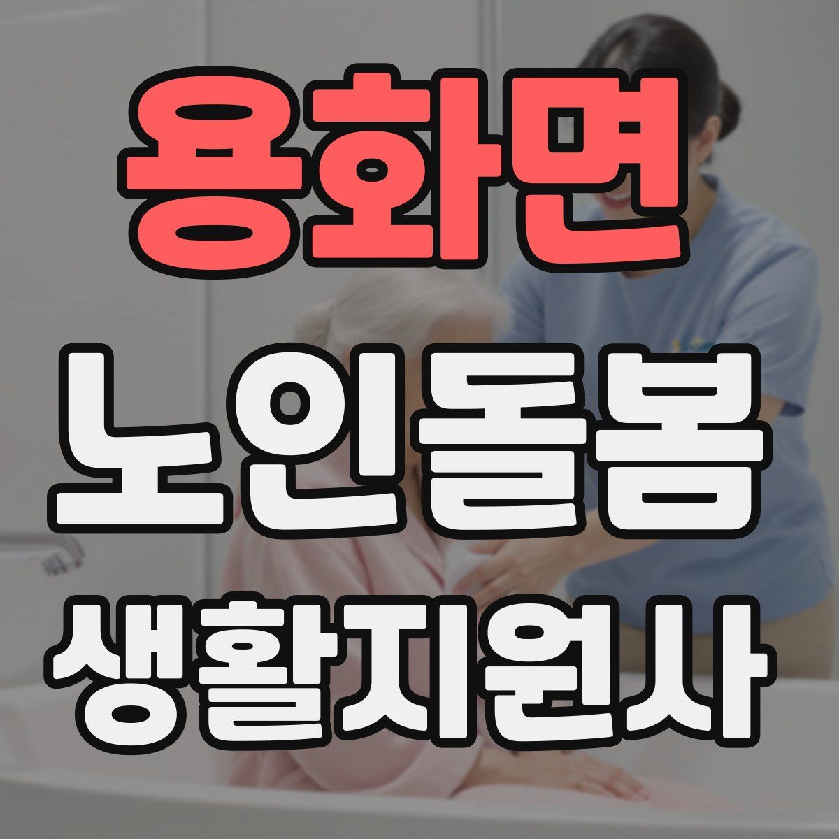 용화면 노인돌봄생활지원사 자격증