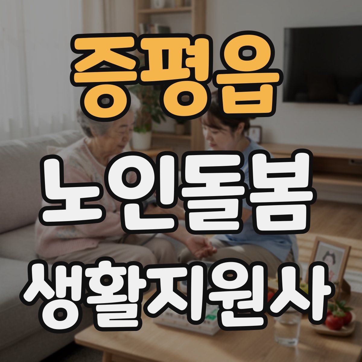 증평읍 노인돌봄생활지원사 자격증