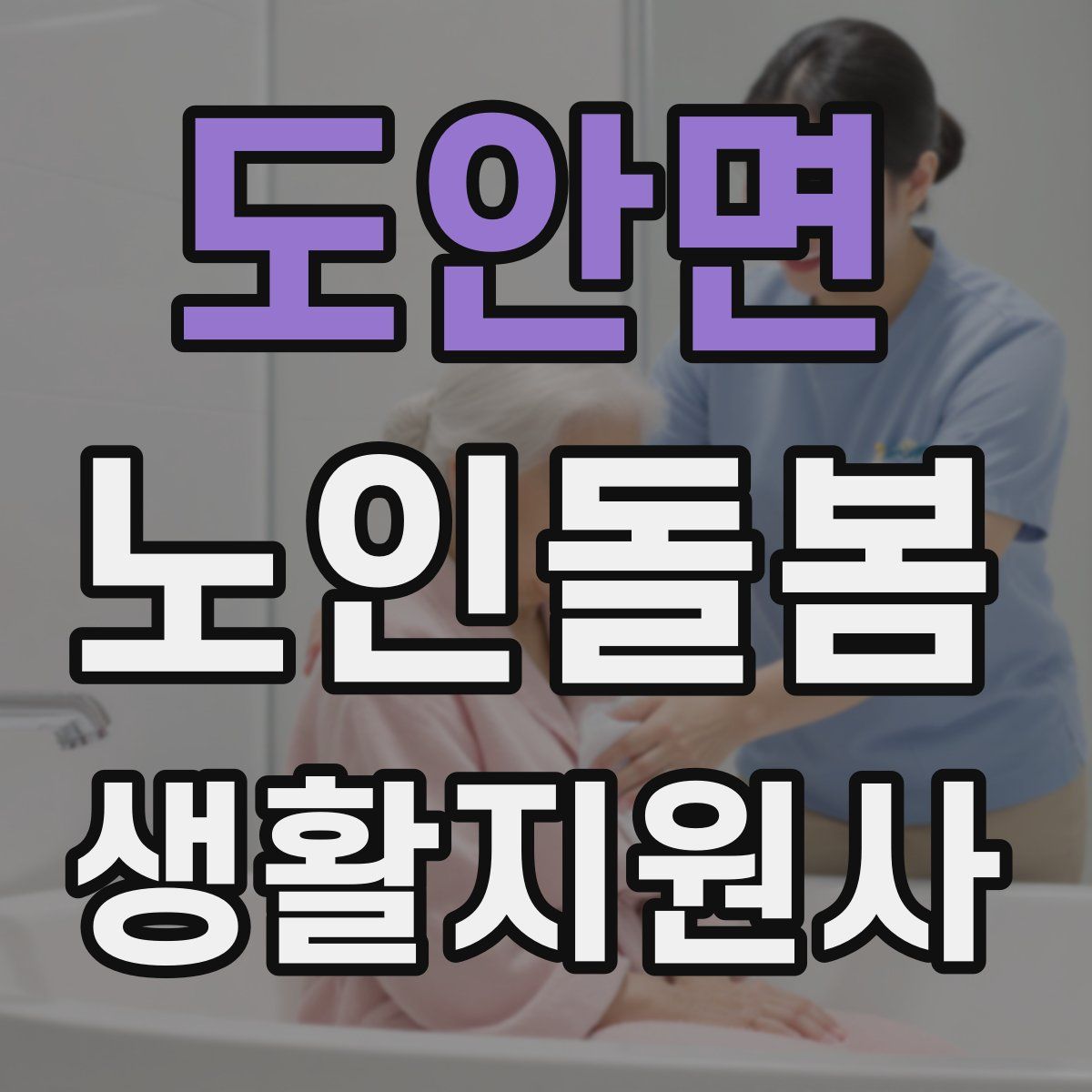 도안면 노인돌봄생활지원사 자격증