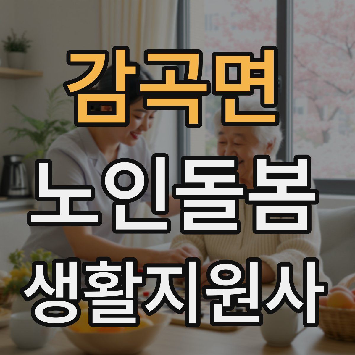 감곡면 노인돌봄생활지원사 자격증