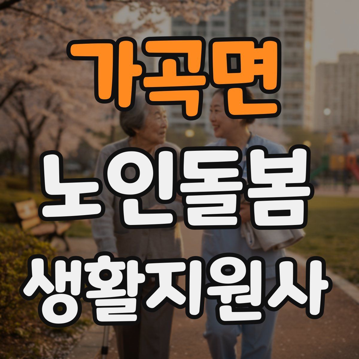 가곡면 노인돌봄생활지원사 자격증