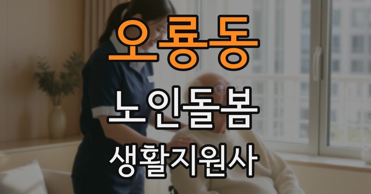 오룡동 노인돌봄생활지원사 자격증