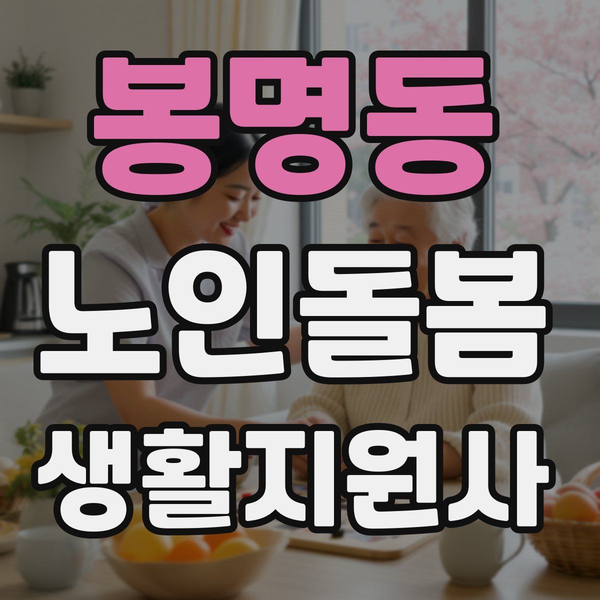봉명동 노인돌봄생활지원사 자격증