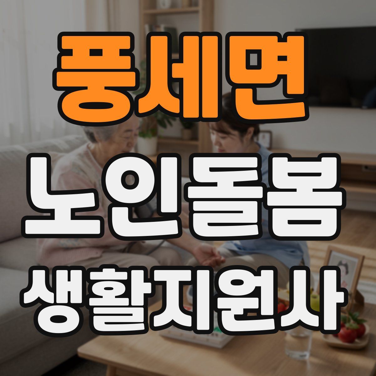 풍세면 노인돌봄생활지원사 자격증