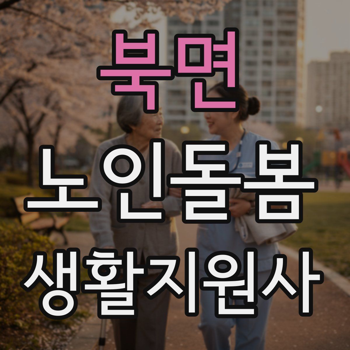 북면 노인돌봄생활지원사 자격증