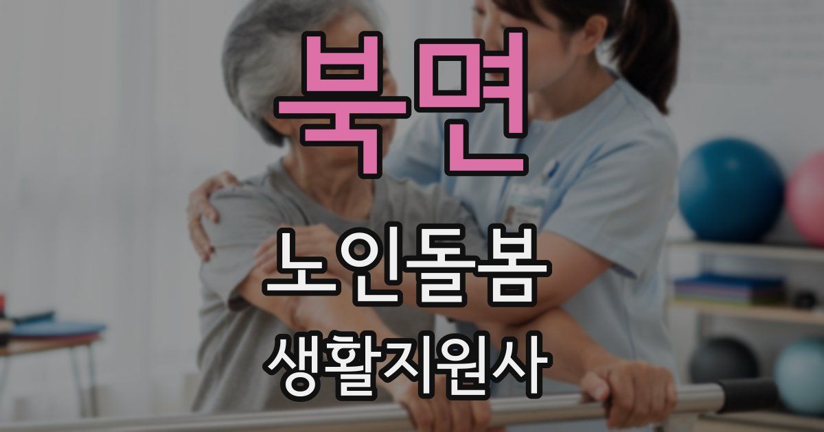 북면 노인돌봄생활지원사 자격증