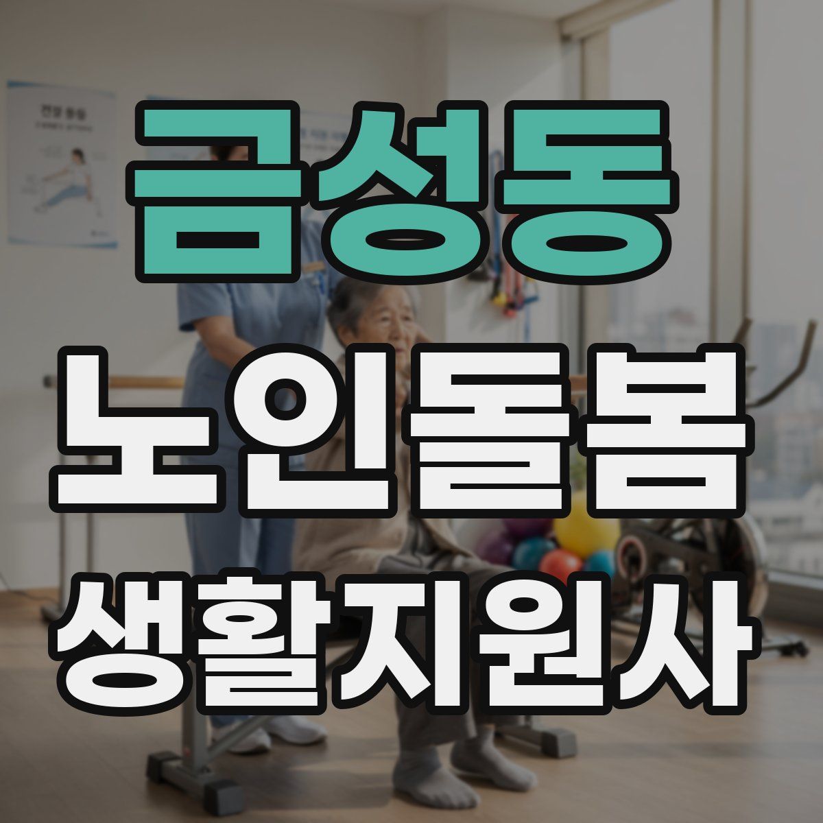 금성동 노인돌봄생활지원사 자격증