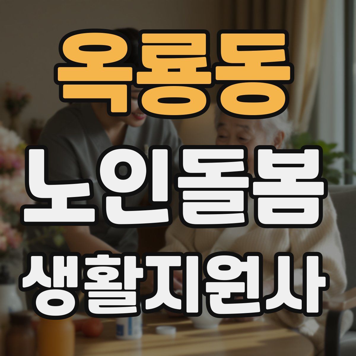 옥룡동 노인돌봄생활지원사 자격증