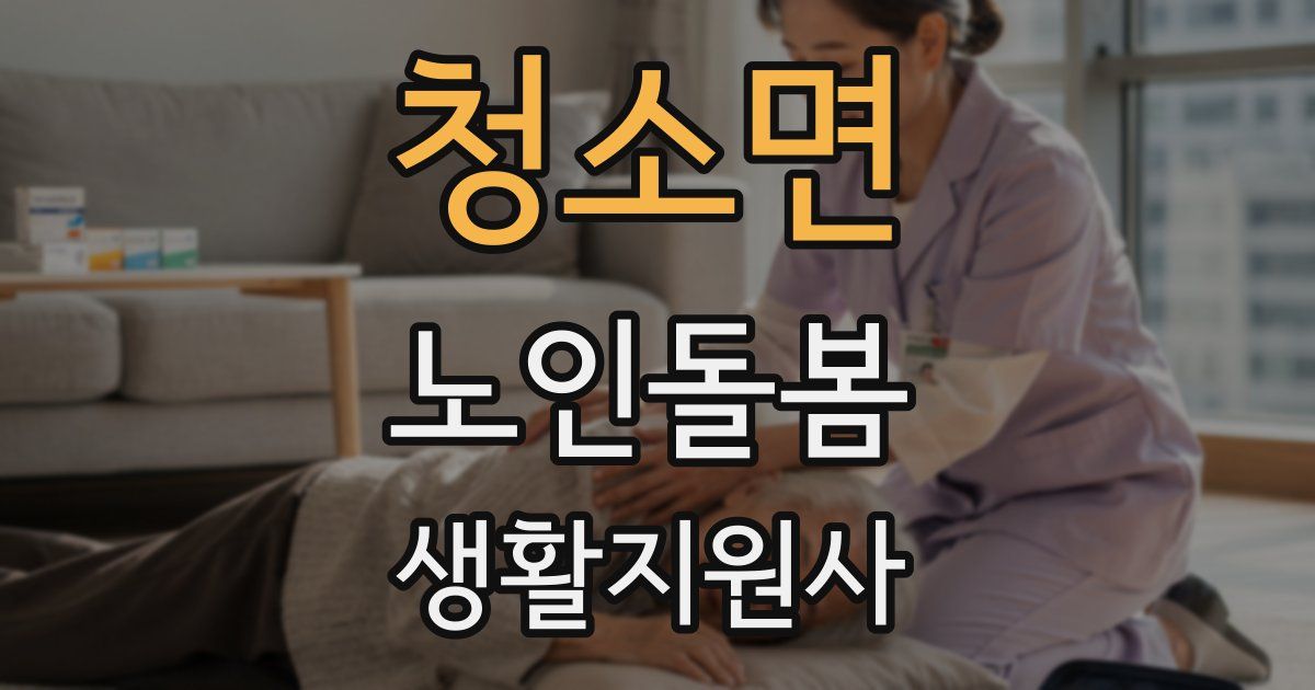 청소면 노인돌봄생활지원사 자격증