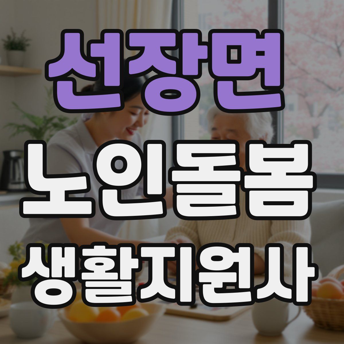 선장면 노인돌봄생활지원사 자격증