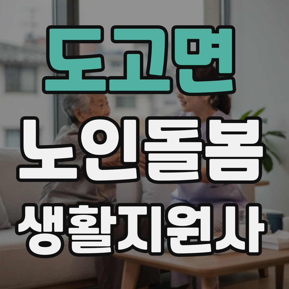 도고면 노인돌봄생활지원사 자격증