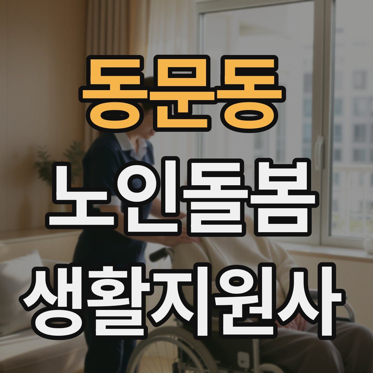 동문동 노인돌봄생활지원사 자격증