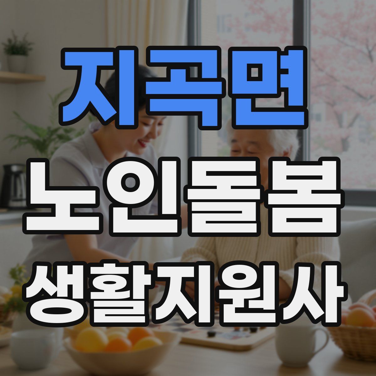 지곡면 노인돌봄생활지원사 자격증