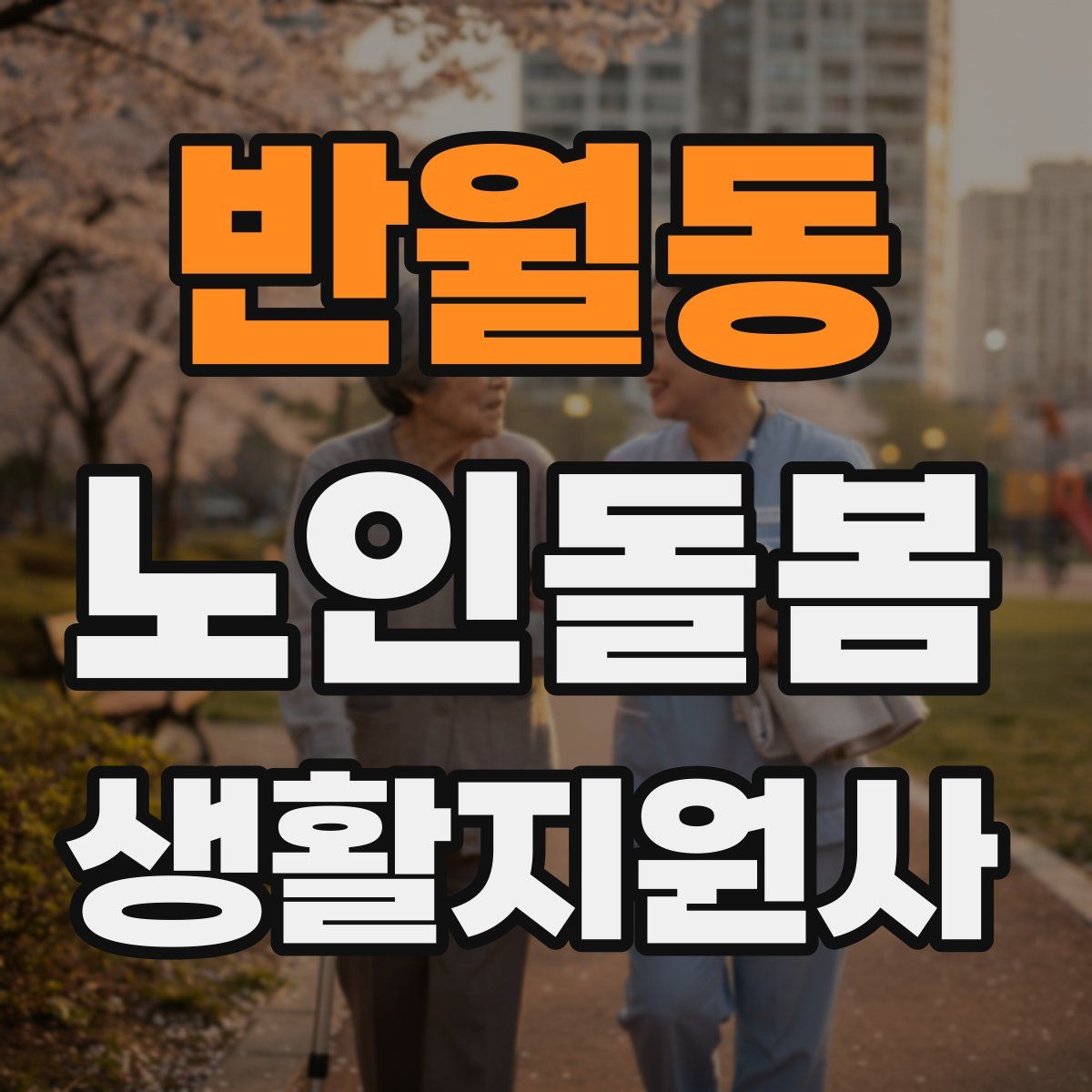 반월동 노인돌봄생활지원사 자격증