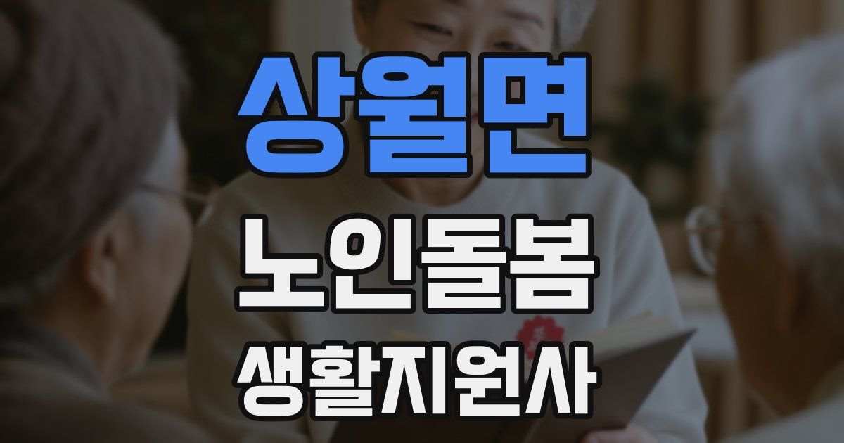 상월면 노인돌봄생활지원사 자격증