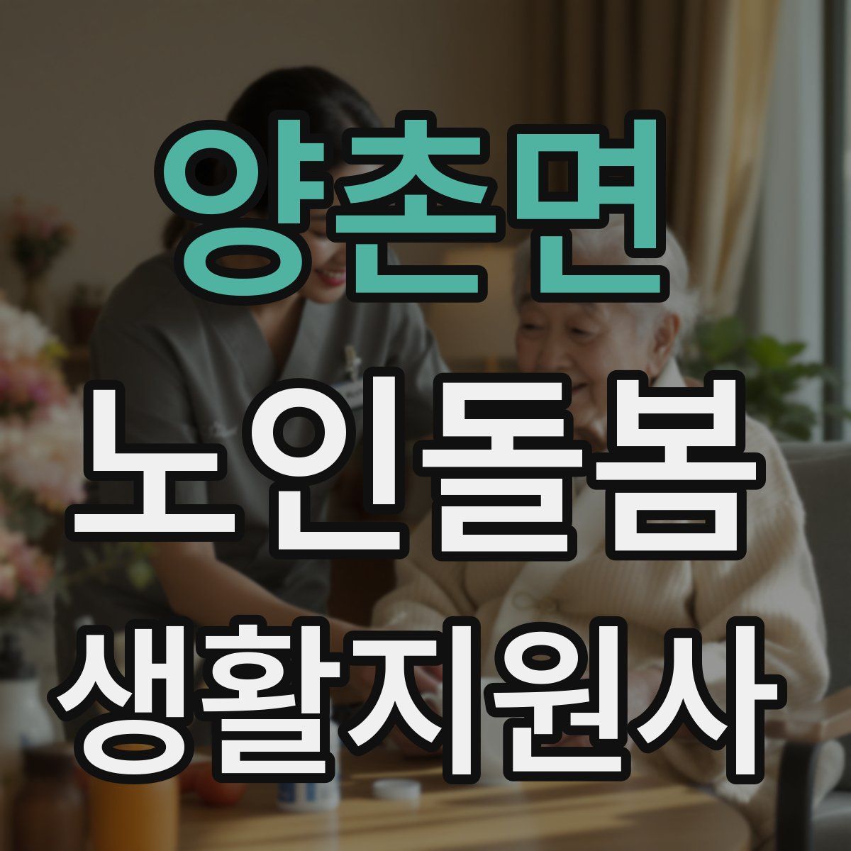 양촌면 노인돌봄생활지원사 자격증