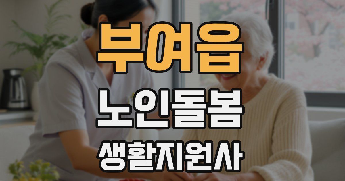 부여읍 노인돌봄생활지원사 자격증
