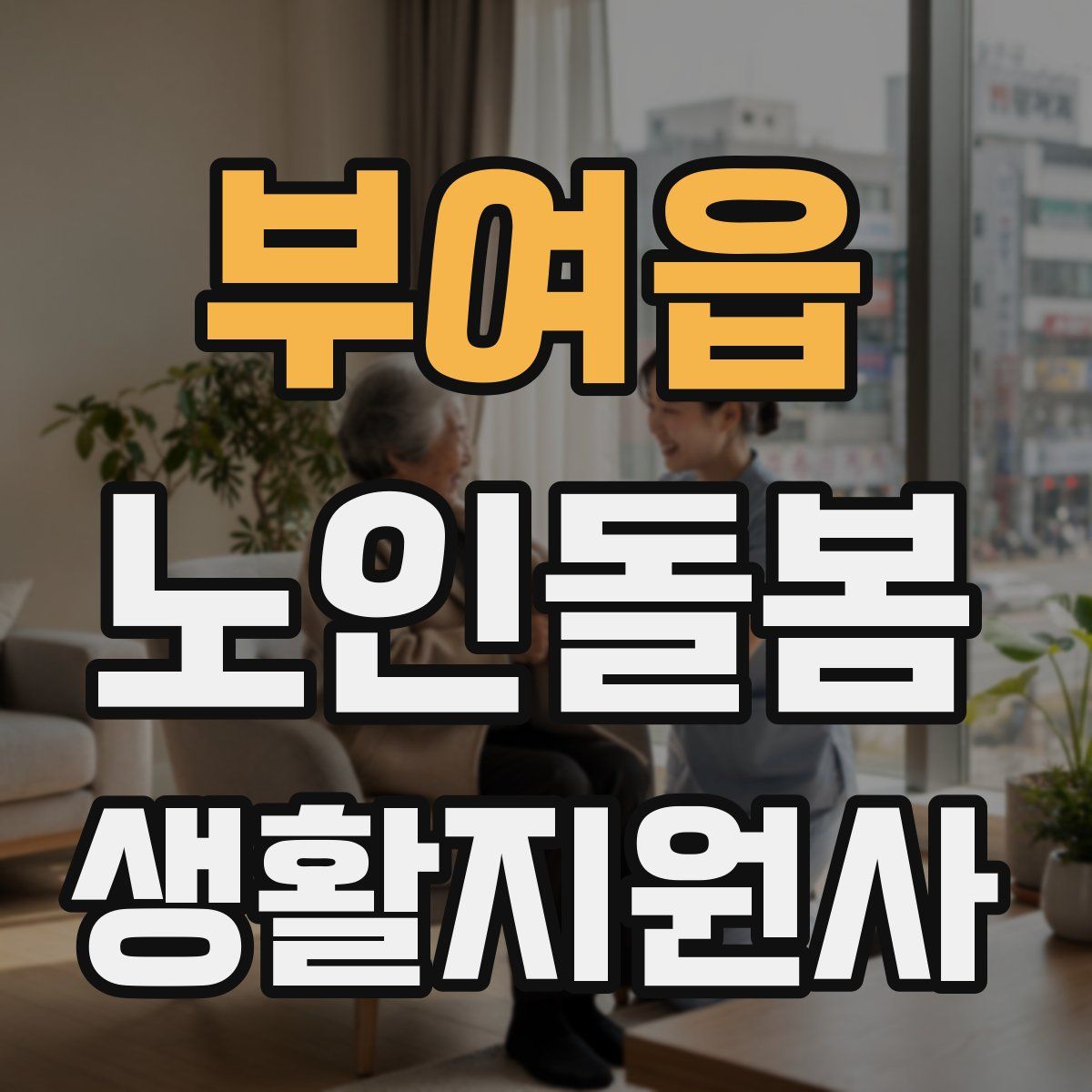 부여읍 노인돌봄생활지원사 자격증