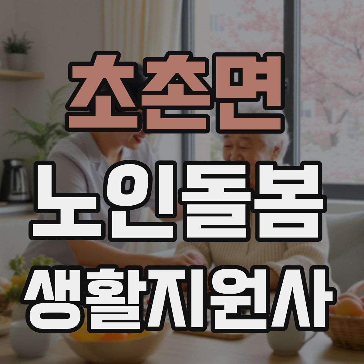 초촌면 노인돌봄생활지원사 자격증
