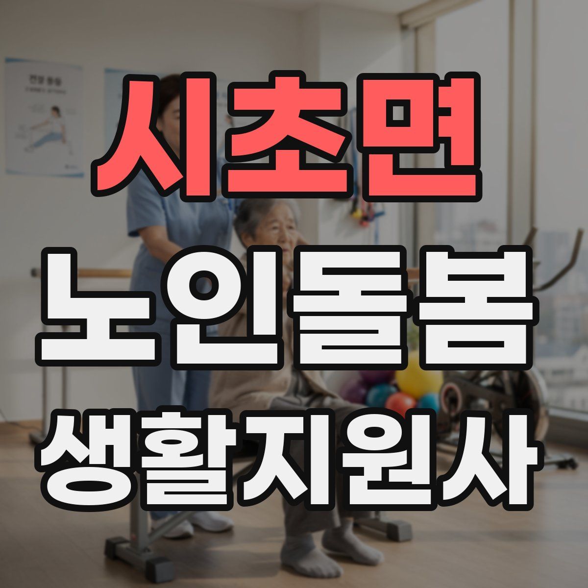 시초면 노인돌봄생활지원사 자격증