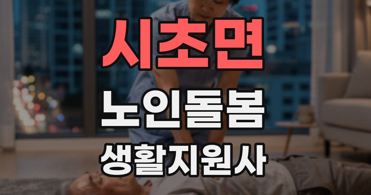 시초면 노인돌봄생활지원사 자격증
